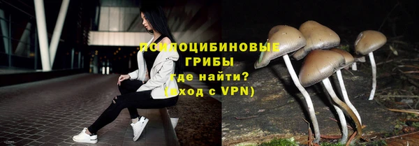 PSILOCYBIN Наволоки