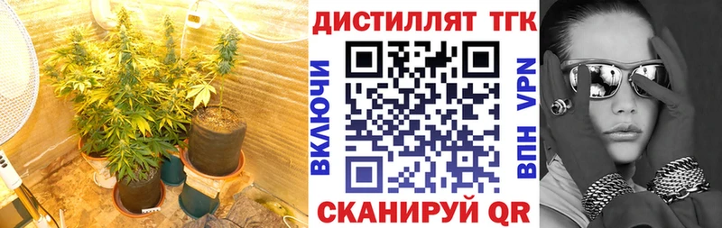 Дистиллят ТГК гашишное масло  Купить  Ижевск 