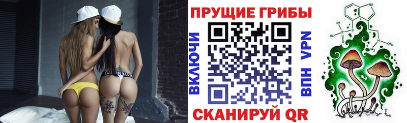 Псилоцибиновые грибы прущие грибы  Купить закладки  Ижевск 